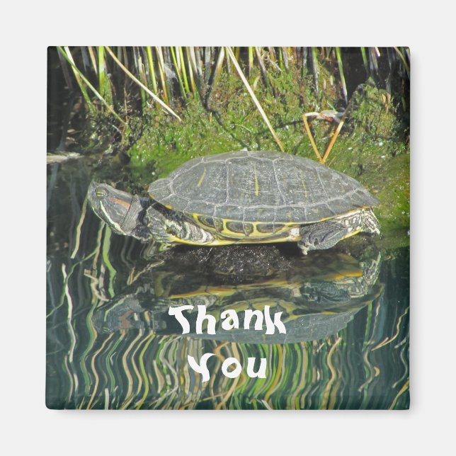 Thank You Turtle Photo with Reflection Nature Magnet (Front)