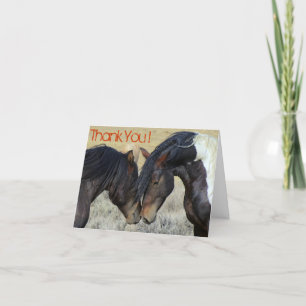 Thank You. Two Brown Wild Horses Nuzzling Thank You Card