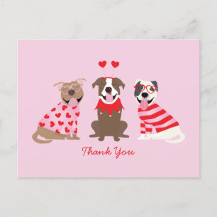 Thank You Valentines Day American Pit Bull Terrier Postcard