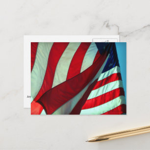 Thank You  ... Veterans Day Postcard