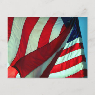 Thank You ... Veterans Day Postcard