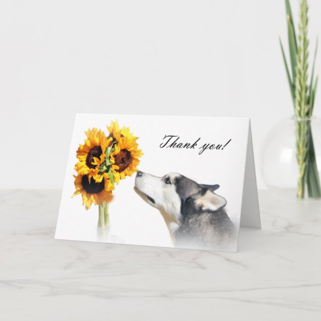 Thank You Veterinarian Card with Husky and Flowers (Front)