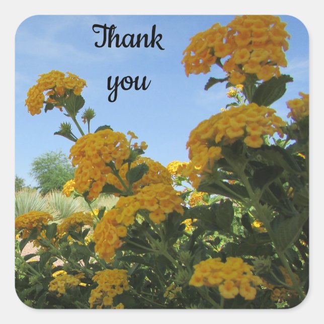 Thank You Vivid Yellow Flower Photo Appreciation Square Sticker (Front)