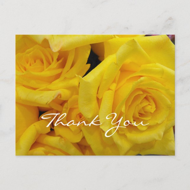 thank you volunteer yellow rose flowers postcard (Front)