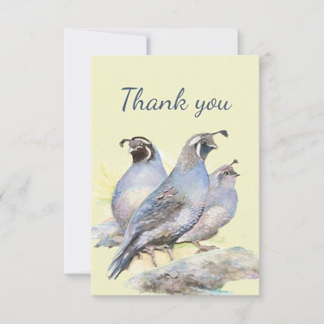 Thank You Watercolor California Quail Bird Nature Card (Front)