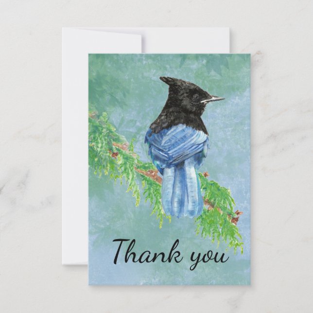 Thank You Watercolor Stellar Jay Bird (Front)