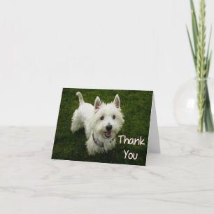 Thank You West Highland Terrier Puppy Dog Card