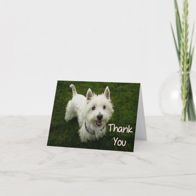 Thank You West Highland Terrier Puppy Dog Card (Front)