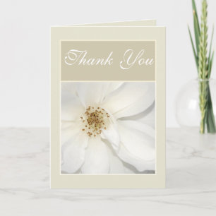 "Thank you" white beige flower floral rose Thank You Card