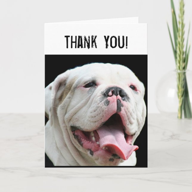 Thank You White Bulldog greeting card (Front)