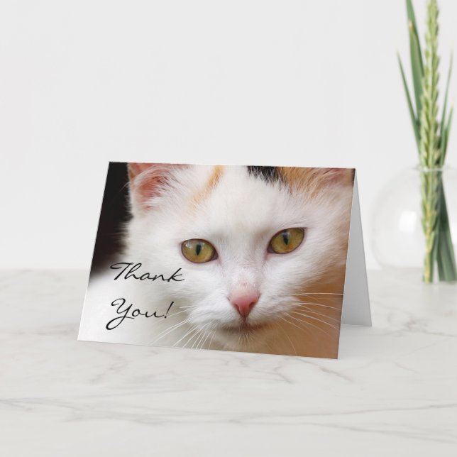 Thank You White cat greeting card (Front)