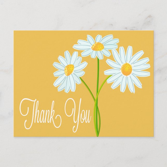 Thank You White Daisy Flower Orange Post Card (Front)