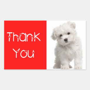 Thank You White Maltese Puppy Dog  Sticker / Label