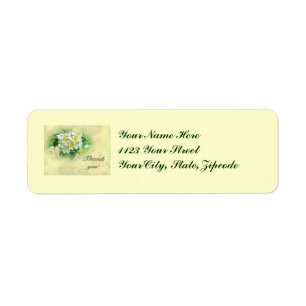 Thank You White Multiflora Roses Wildflower