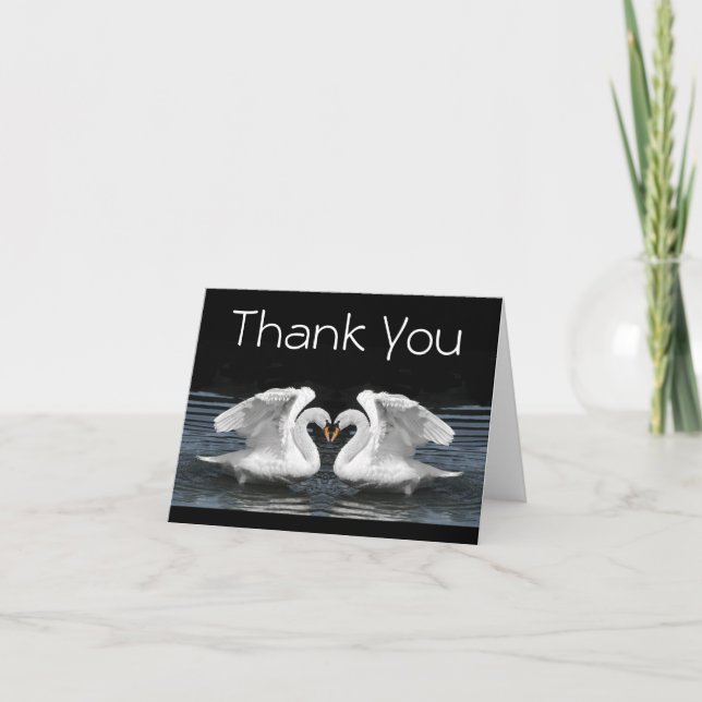 Thank You --  White Mute Swans Photography Card (Front)