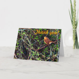 Thank you! with a Robin You Card