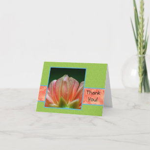 Thank You With Orange Dahlia Flower Petals