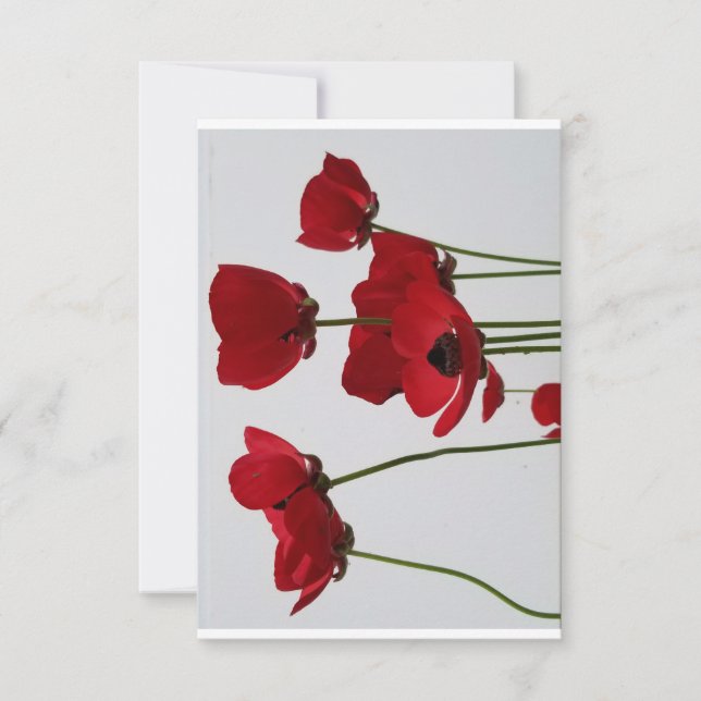 Thank you with red poppies card (Front)