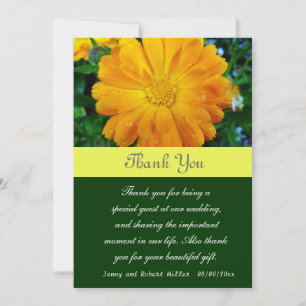 Thank you, yellow daisy flowers thank you card