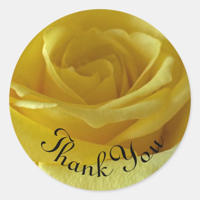Thank You Yellow Rose Photo Appreciation Classic Round Sticker (Front)
