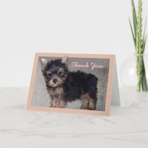 Thank You Yorkshire puppy greeting card
