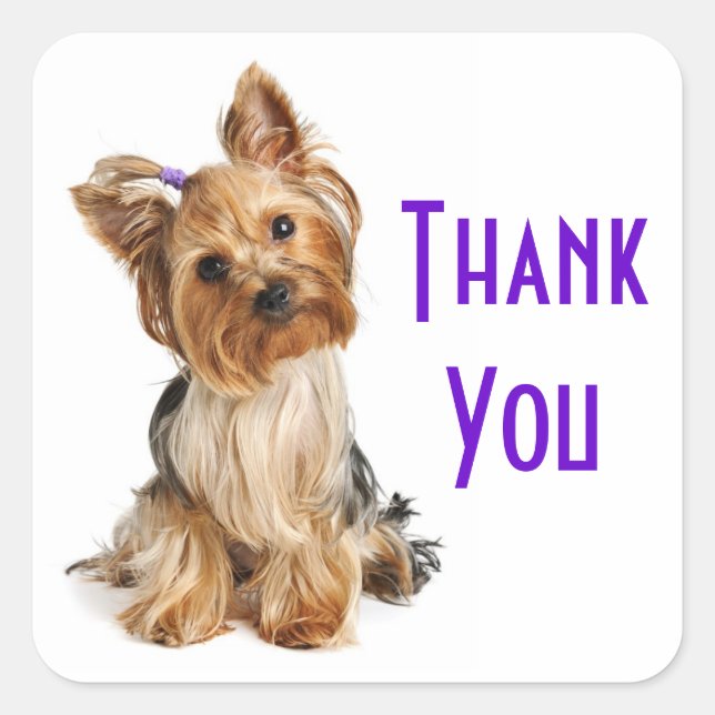 Thank You Yorkshire Terrier  Puppy Dog Stickers (Front)