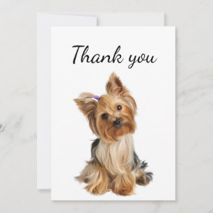 Thank You Yorkshire Terrier Yorkie Dog Pet Animal