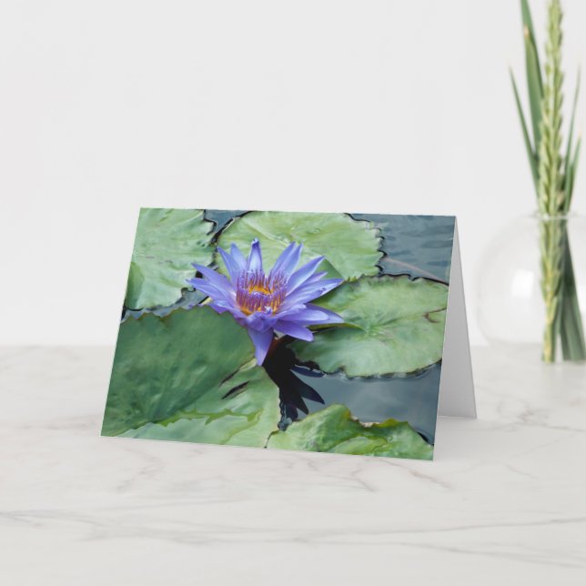 Thank You!  You Card (Front)