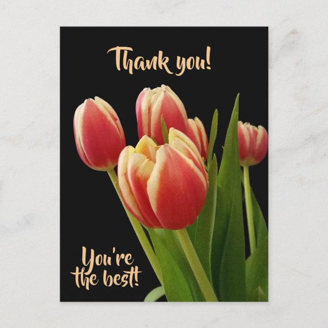 Thank You, You're the Best Postcard With Tulips (Front)