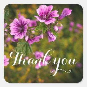 Thank You Zebra Hollyhock Flowers #2 Stickers