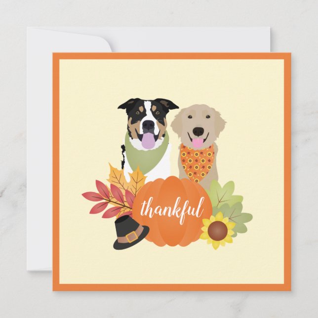 Thankful Dogs Thanksgiving Harvest Pumpkins Card (Front)