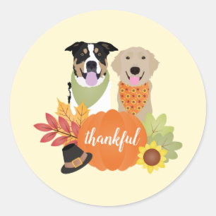 Thankful Dogs Thanksgiving Harvest Pumpkins Classic Round Sticker