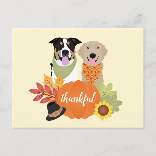 Thankful Dogs Thanksgiving Harvest Pumpkins Postcard (Front)