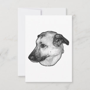 Thankful Dots, Pet Note Thank You Card