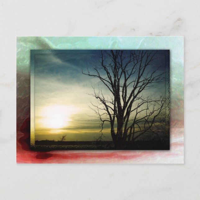 Thankful for You! Postcard (Front)