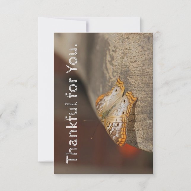 Thankful for You Thanksgiving card (Front)