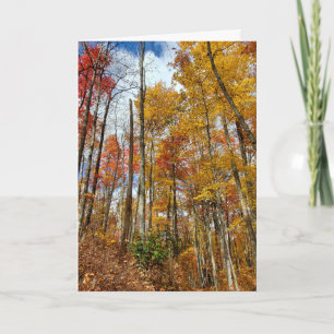 Thankful Grateful Blessed Fall Leaves Thanksgiving Card