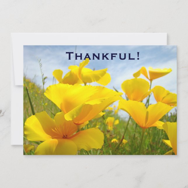 Thankful! Invitations Custom Volunteers Lunch (Front)