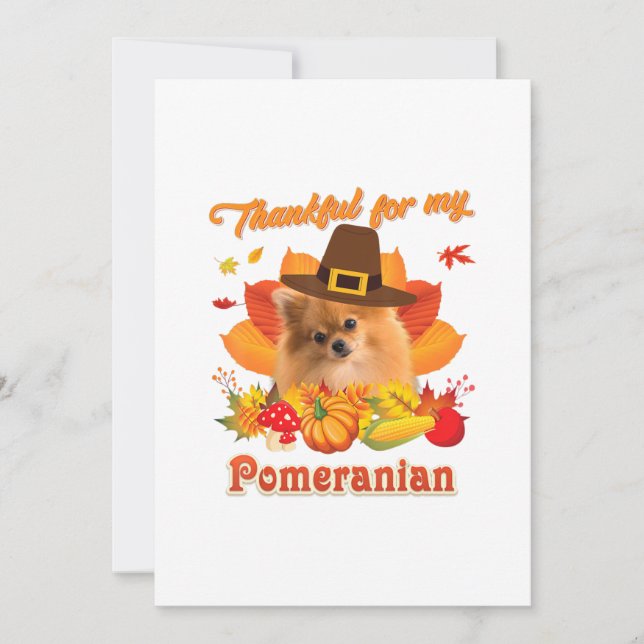 Thankful My Pomeranian Dog Thanksgiving Im Pumpki Holiday Card (Front)