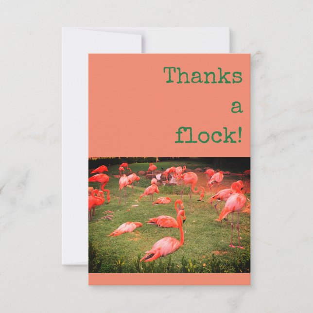 Thanks a flock! Flamingo Thank You Card (Front)