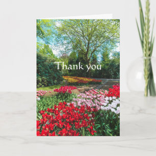 Thanks Colourful Garden Tulips Dutch Flowers Card