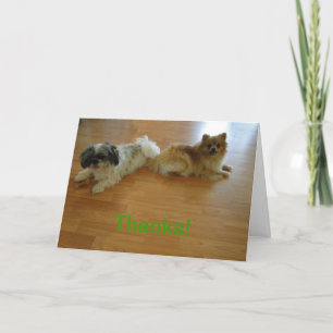 Thanks For Always Having My Back!, Dogs Thank You Card