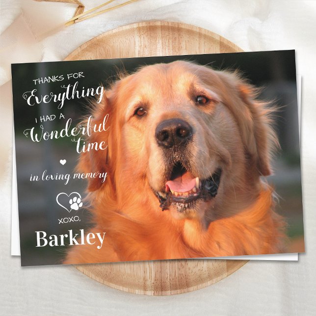 Thanks For Everything Pet Loss Dog Memorial Photo  Thank You Card (Creator Uploaded)
