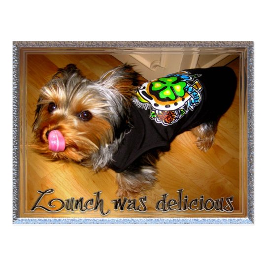 thanks-for-lunch-postcard-zazzle-co-uk