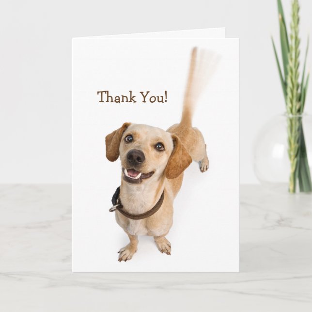 Thanks For Making My Tail Wag Thank You Card (Front)