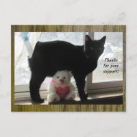 Thanks for your support black cat and teddy bear