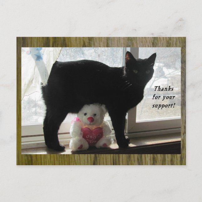 Thanks for your support black cat and teddy bear postcard (Front)