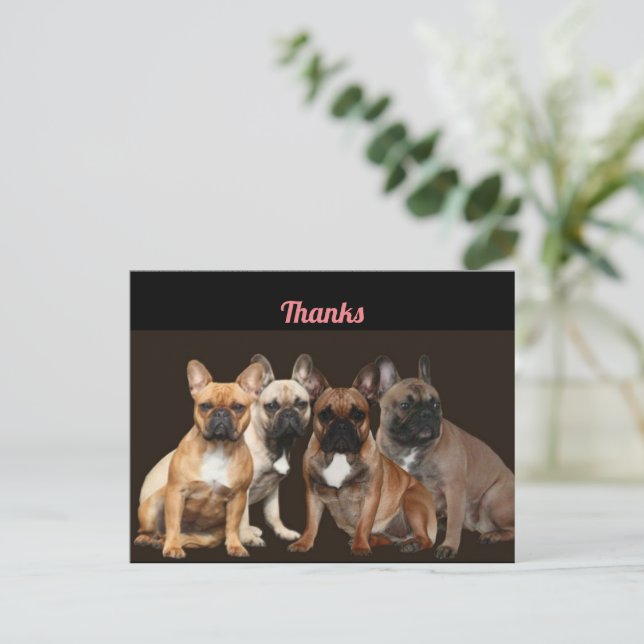 Thanks  Französische Bulldogge Postkarte Postcard (Standing Front)