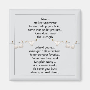 Thanks Friend are like Underwear Fun Quote Magnet