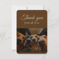 Thanks From All of Us Group Fun Dogs Pet Animals